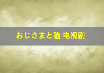 おじさまと猫 电视剧